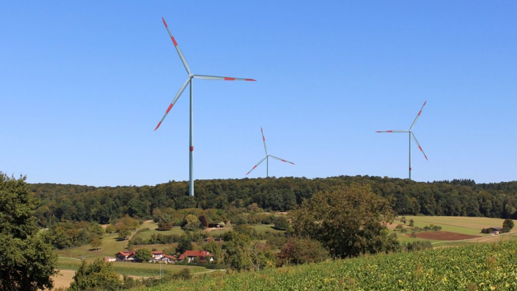 Pferdezucht, Brettener Weg